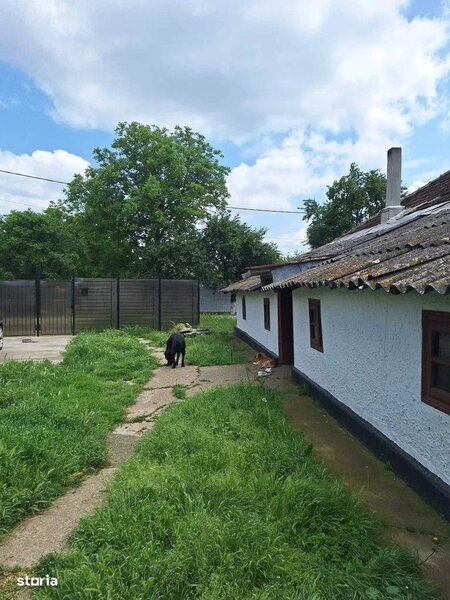 Muta-te la tara: teren 2500 mp, gradina si casa aproape de Bucuresti.