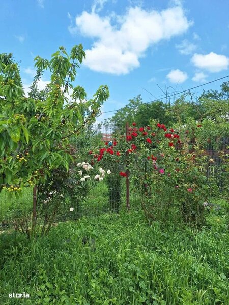 Muta-te la tara: teren 2500 mp, gradina si casa aproape de Bucuresti.