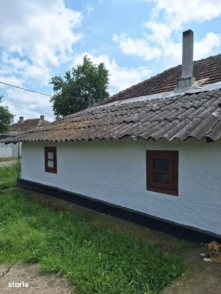 Muta-te la tara: teren 2500 mp, gradina si casa aproape de Bucuresti.