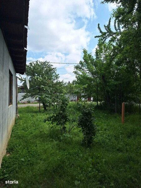 Muta-te la tara: teren 2500 mp, gradina si casa aproape de Bucuresti.