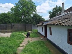 Muta-te la tara: teren 2500 mp, gradina si casa aproape de Bucuresti