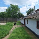 Muta-te la tara: teren 2500 mp, gradina si casa aproape de Bucuresti